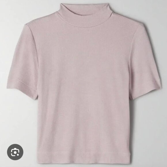Babaton Tops - Aritzia‎ Gonzolo T Shirt
